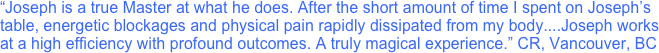 “Joseph is a true Master at what he does. After the short amount of time I spent on Joseph’s table, energetic blockages and physical pain rapidly dissipated from my body....Joseph works at a high efficiency with profound outcomes. A truly magical experience.” CR, Vancouver, BC